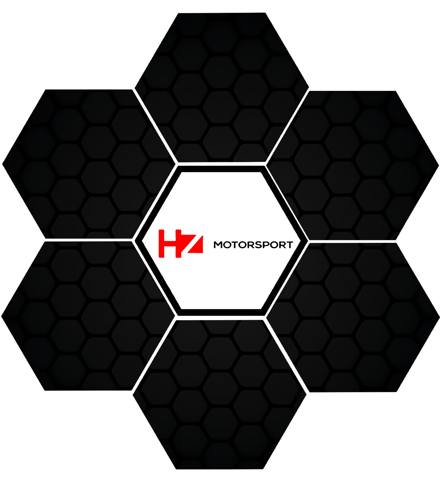Upscaled HZ Motorsport Carbon Petal Logo
